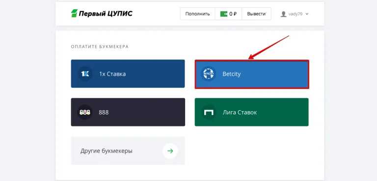ЦУПИС Бетсити