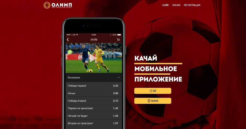 олимп бет на телефон