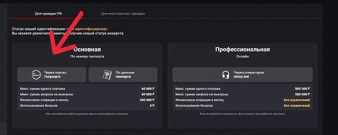 Упрощенная идентификация: Госуслуги или видеозвонок Олимп Бет